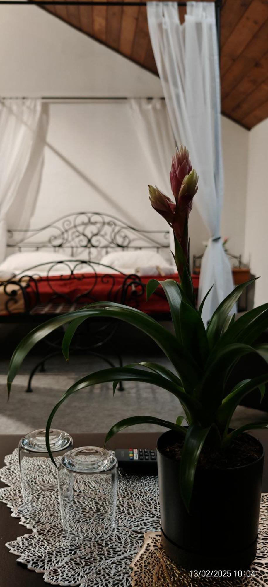 Frýdek-Místek Hotel Plzensky Dvur מראה חיצוני תמונה